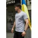 Футболки з патріотичними принтами Футболка чоловіча "Руський корабль" Intruder сіра